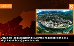 Artvin Şavşat’ta Karagöl-Sahara Milli Parkı’nda ladin ormanlarına zarar veren böceklere mücadele başlatıldı