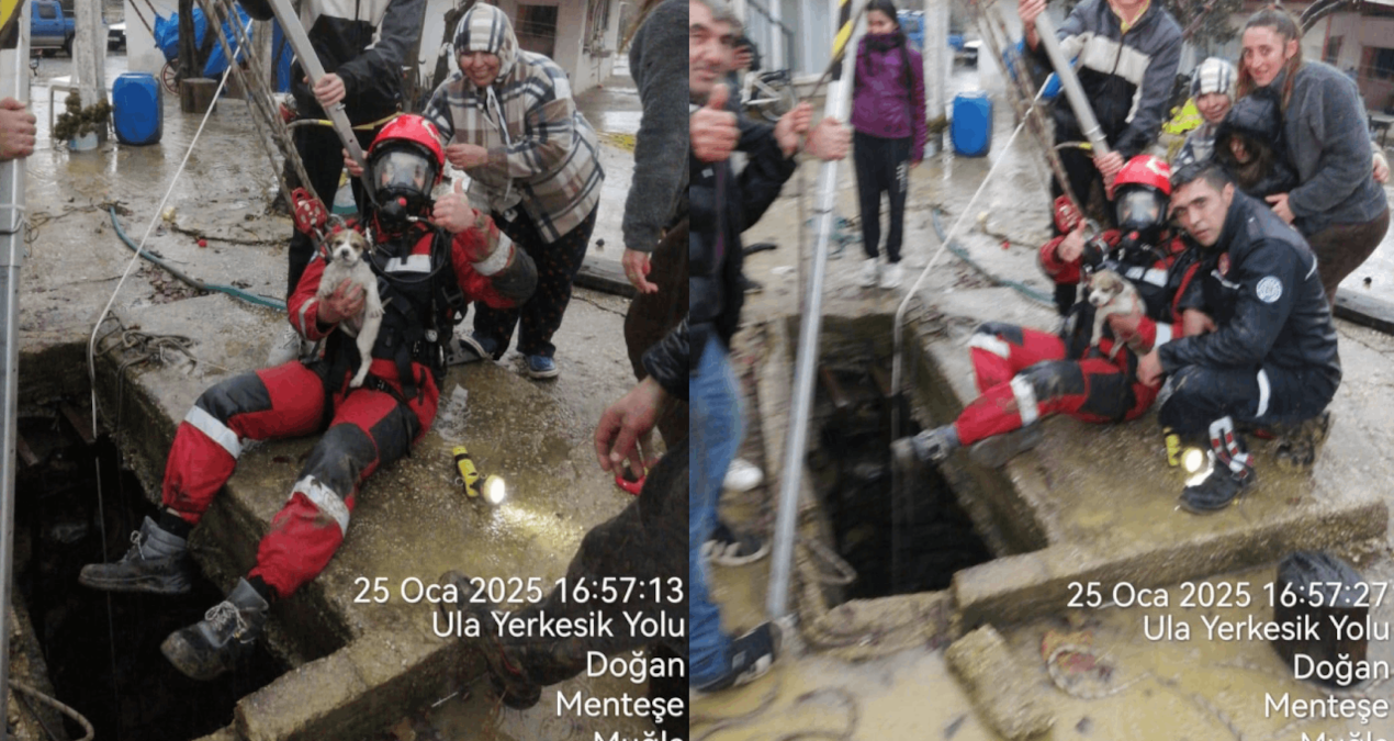 Muğla’da kuyuya düşen yavru köpeği kurtarmak için seferber oldular