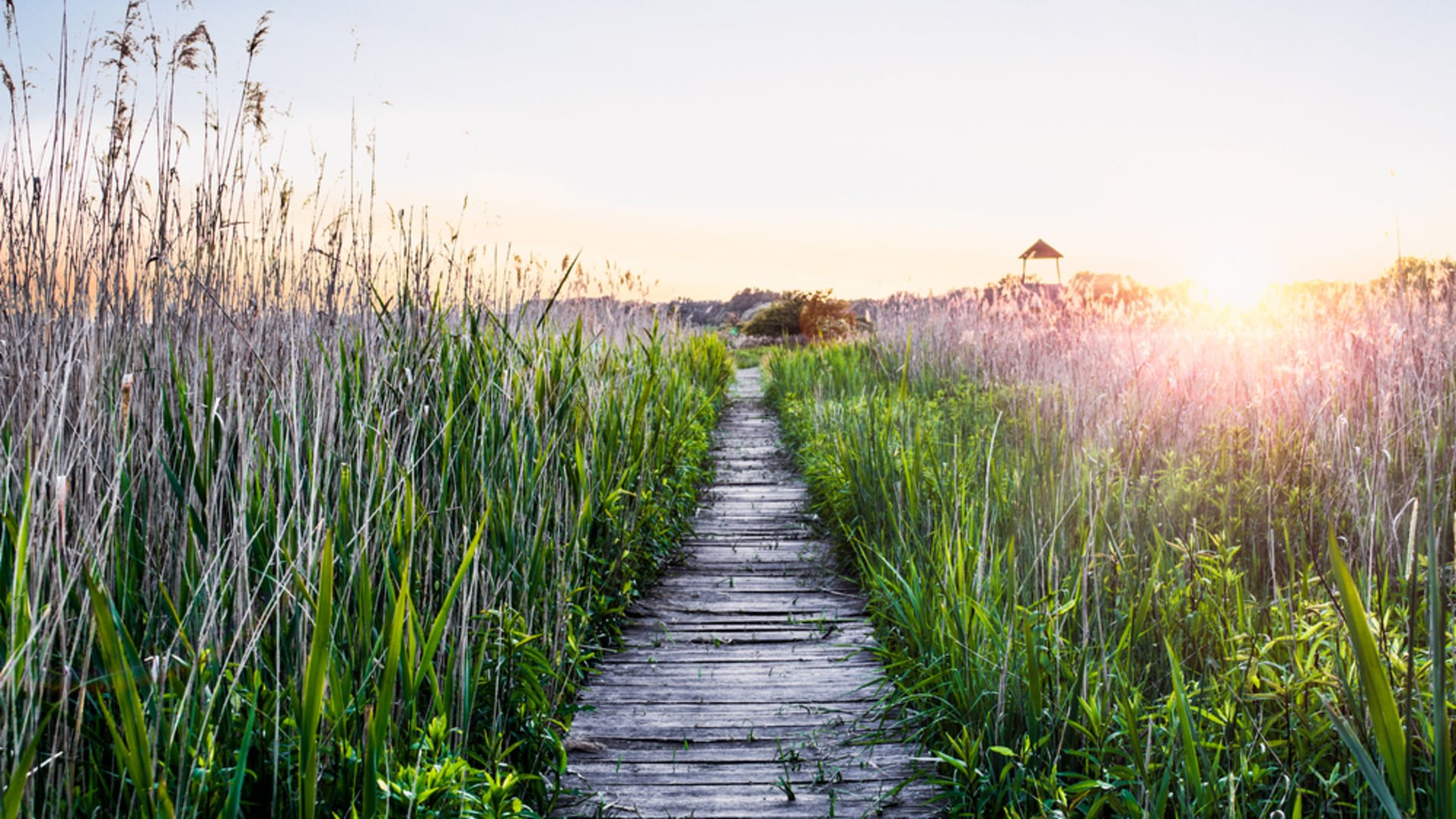 Doğa ruh sağlığına iyi geliyor