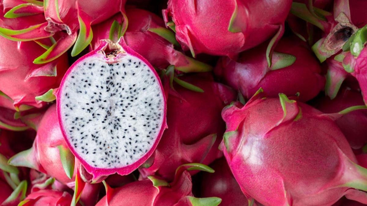 Ejder Meyvesi Nasıl Yetişir? Türkiye’de Ejder Meyvesi Yetişir Mi?