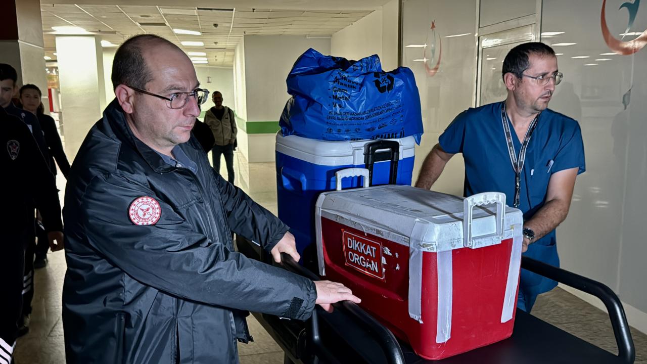 Türkiye nakillerde ilk sırada